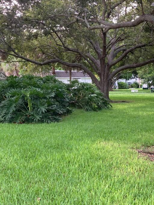 All Season Paradise In Cortez Bradenton Exterior foto