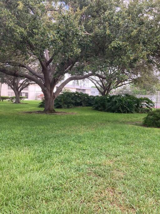 All Season Paradise In Cortez Bradenton Exterior foto